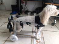 Silla pequeña