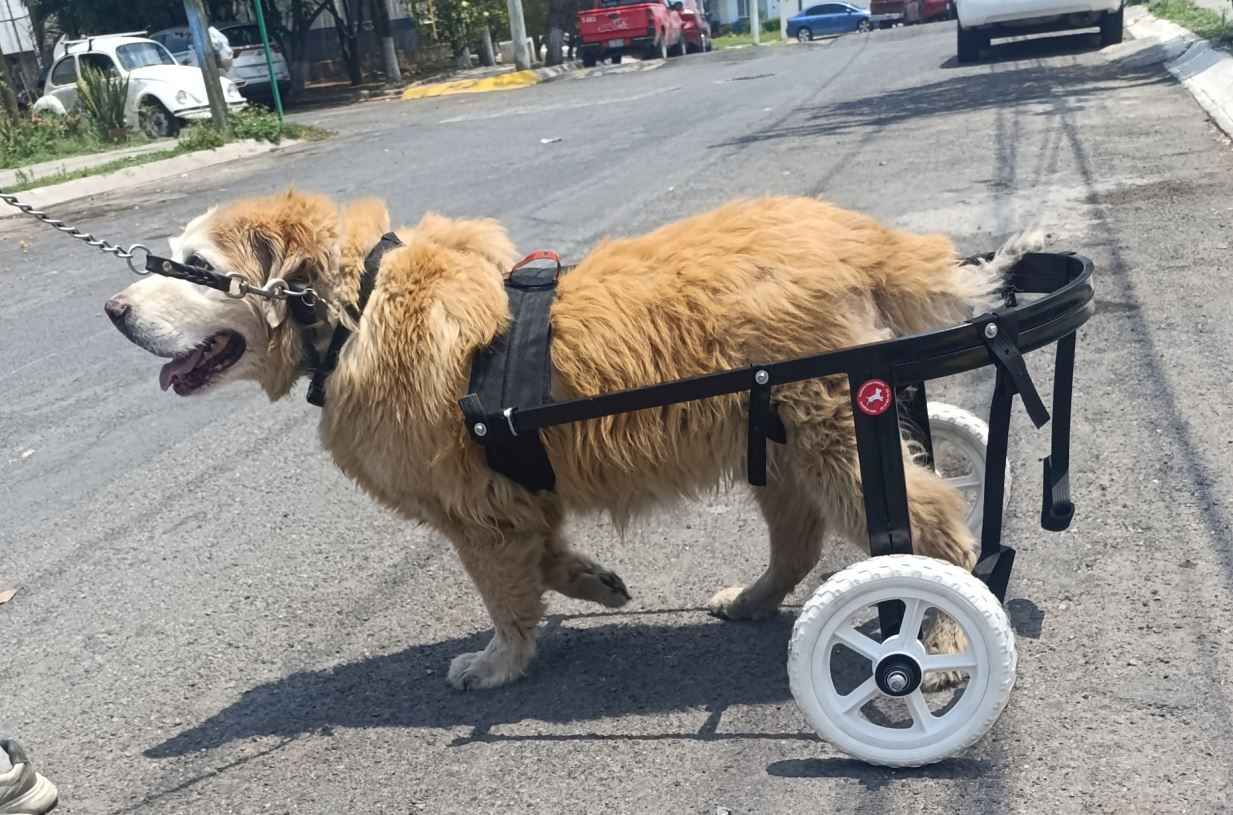 Silla grande